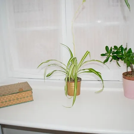 Apartament Alfama 51 Duplex In The Heart Of Alfama Lizbona