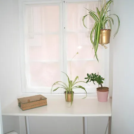 Alfama 51 Duplex In The Heart Of Alfama 公寓